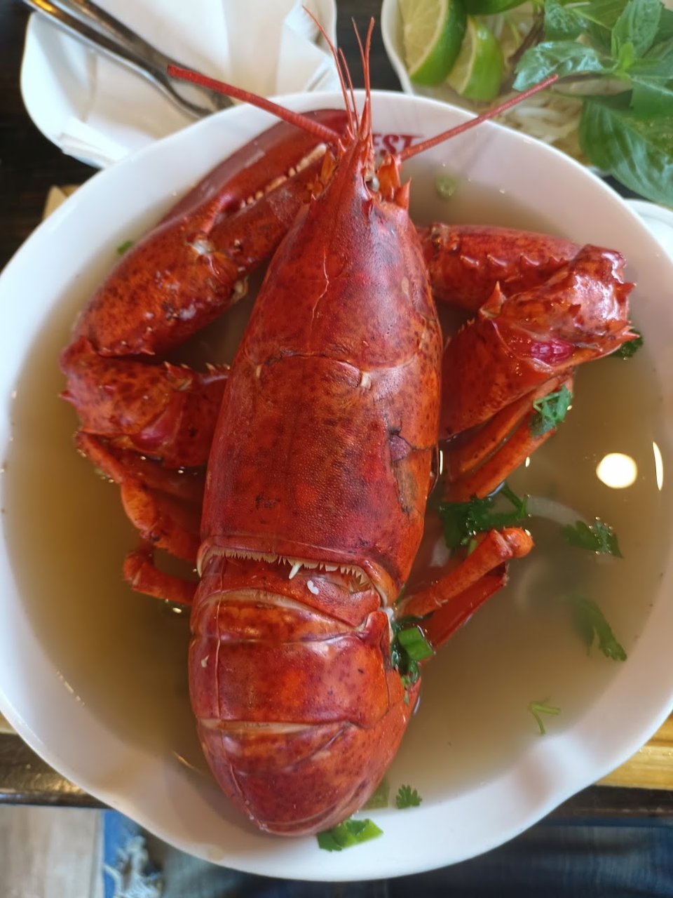 Lobster